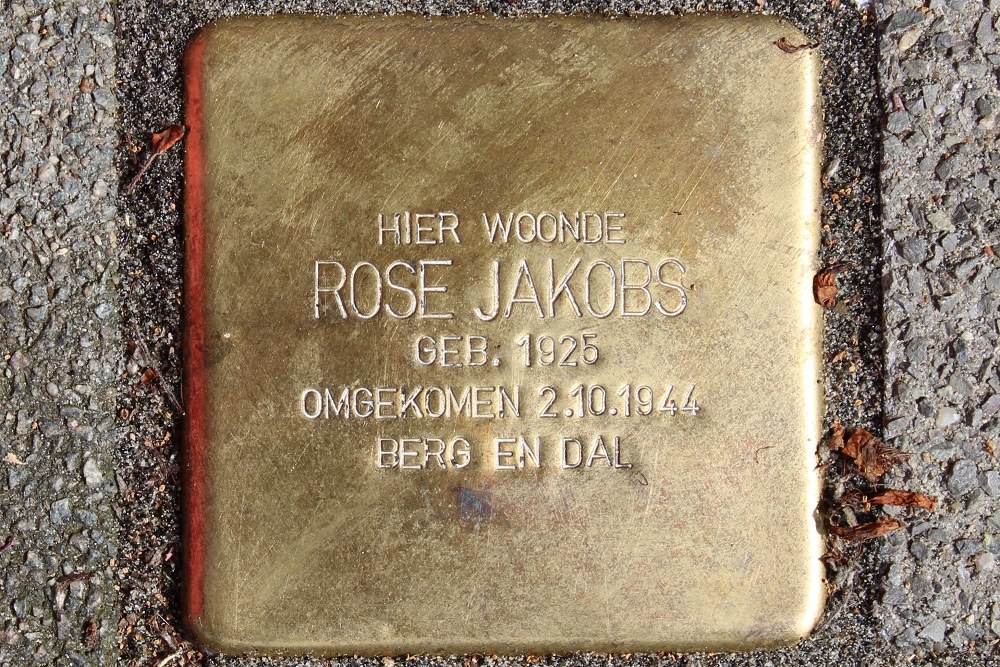 Stolperstein Moliusstraat 20 #1