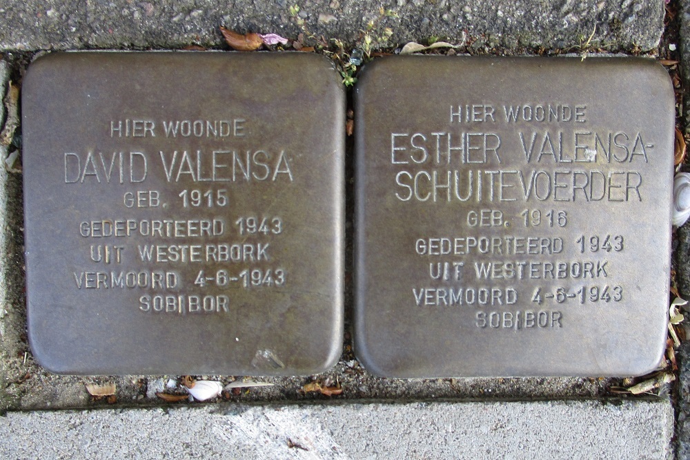 Stolpersteine President Steynplantsoen 3 #1