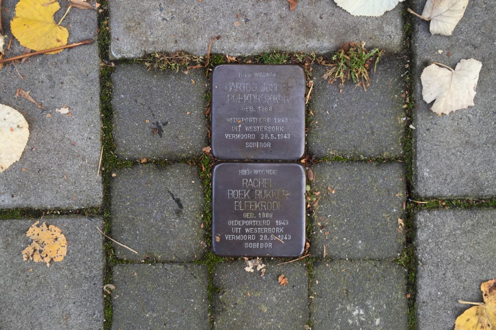 Stolpersteine Van Ostadelaan 61 #1