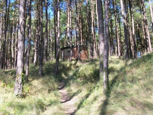 Bunker FW3/22 Pembrey