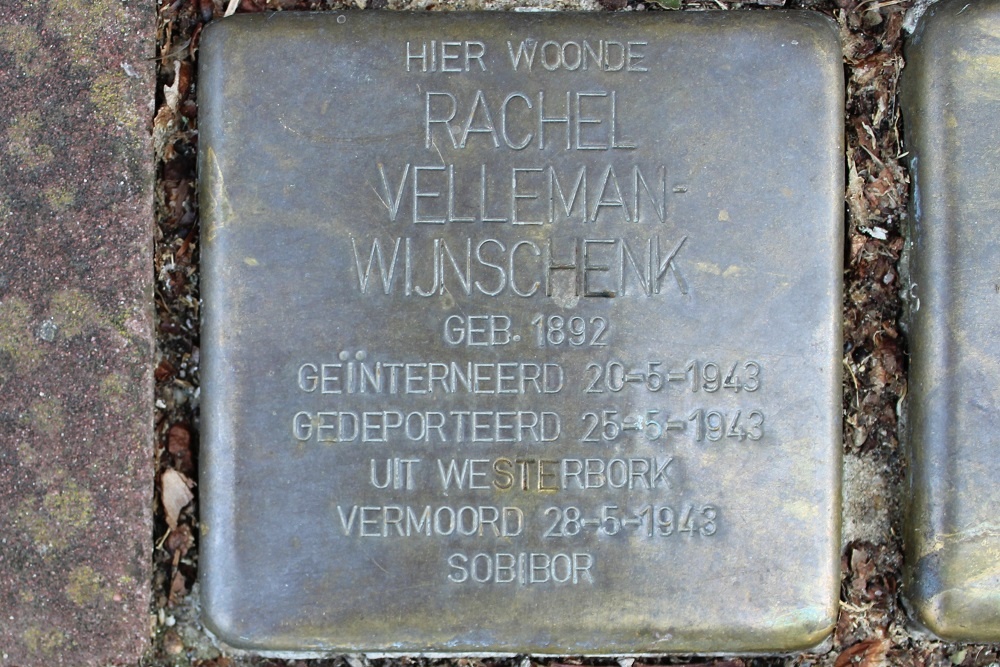 Stolpersteine Spinozastraat 3 #2