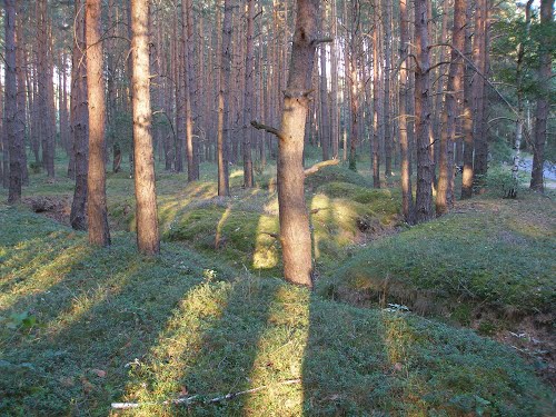 Ostwall - German Trench