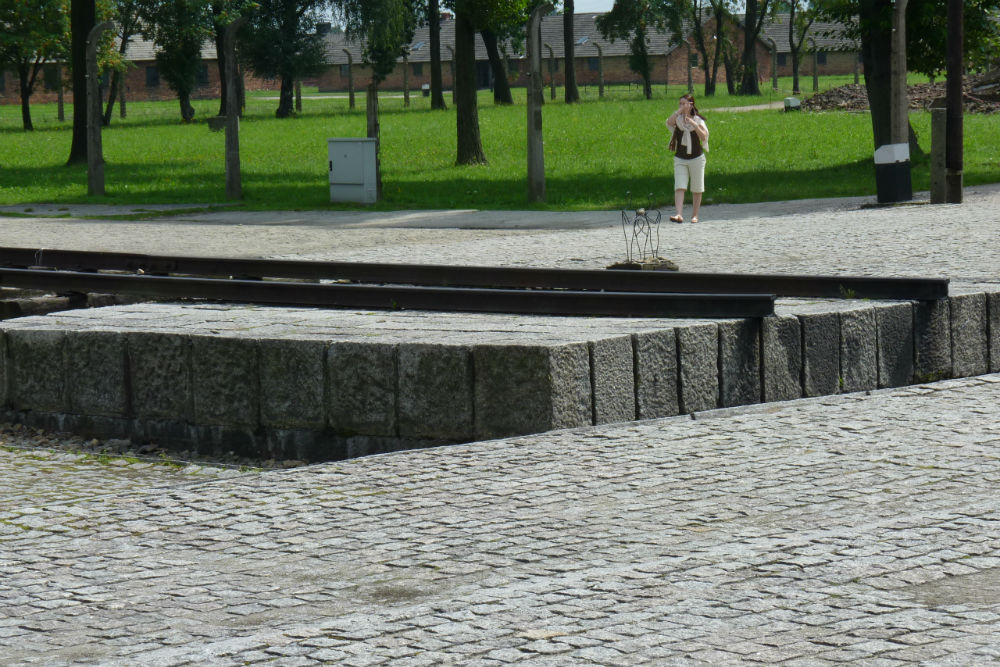 Monument Slachtoffers Fascisme Concentratiekamp Auschwitz ll #5