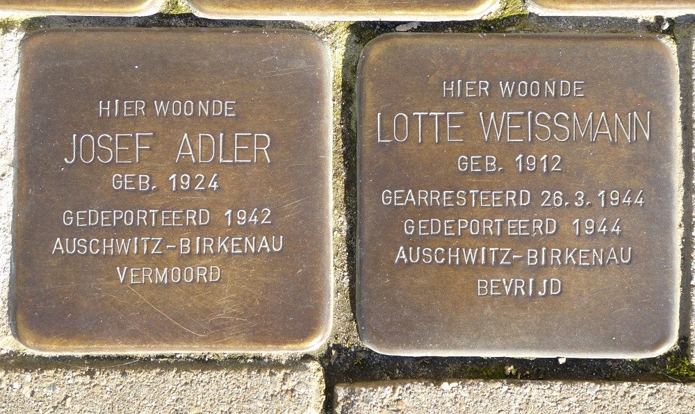 Stolpersteine Martelarenlaan 179 #5