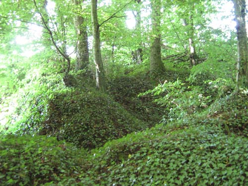 Former German Artillery Position & Trenches