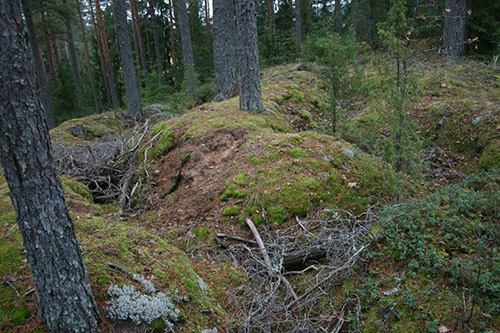 Trenches Lejasciema