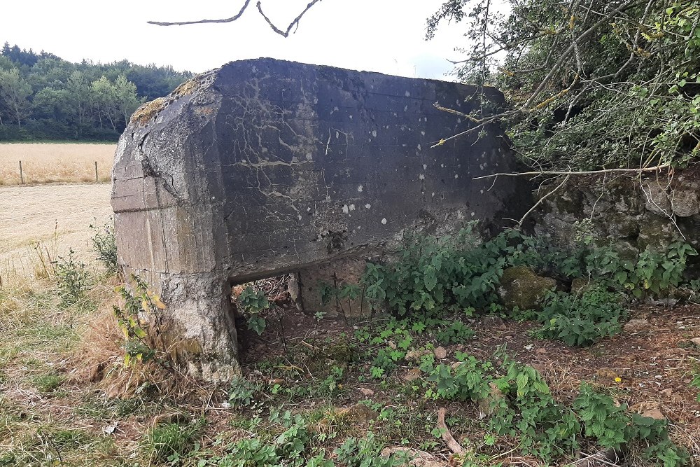 German Bunker Antiaircraft Position West Zingsheim #3