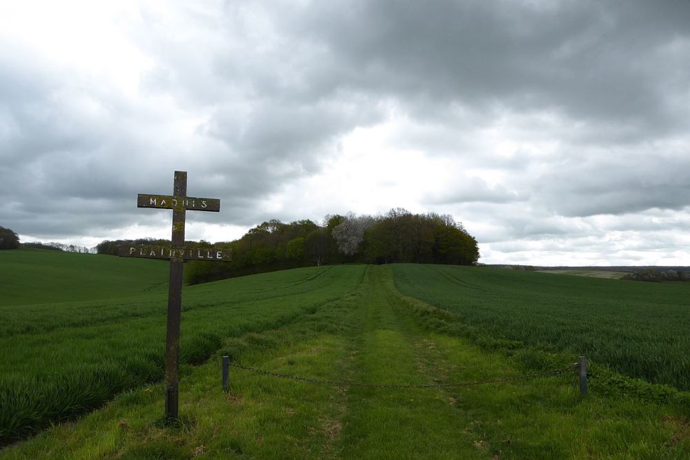 Herdenkingskruis Verzetsgroep Plainville #1