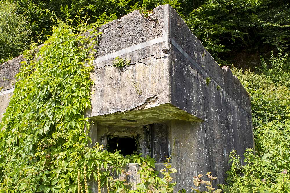 Maginot Line - Bunker Les Hautes-Rivières #3