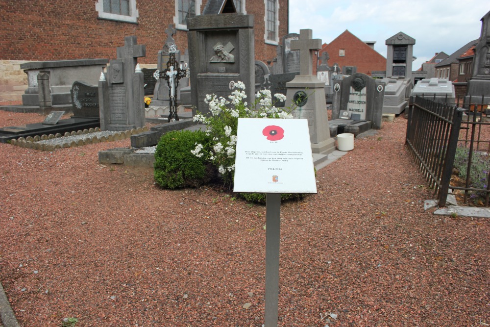 Belgian Graves Veterans Vliermaal #5