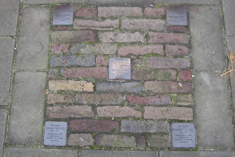 Stolpersteine Colensostraat 8 #1