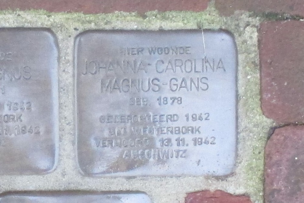 Stumbling Stones Rolderstraat 44 #3