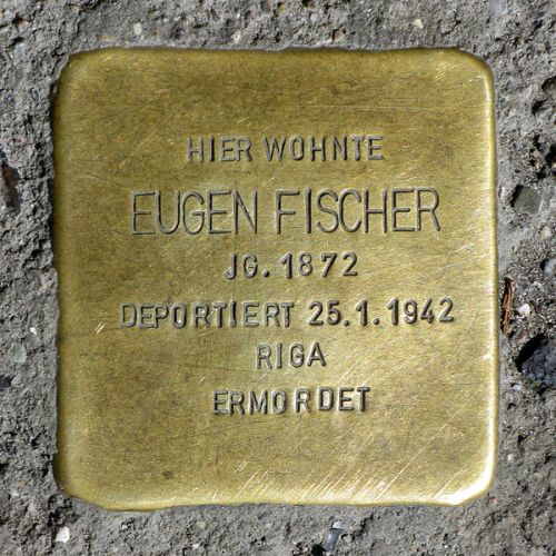 Stolpersteine Torstrae 95 #1