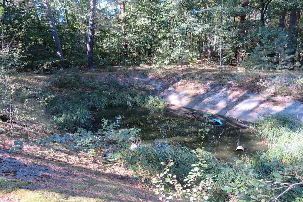 Brandwaterput Koralle #4
