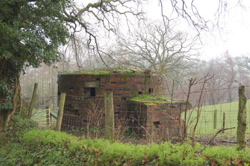 Bunker FW3/25 Bettws Newydd #1