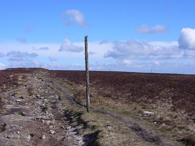 Anti-landing Palen Dartmoor #1
