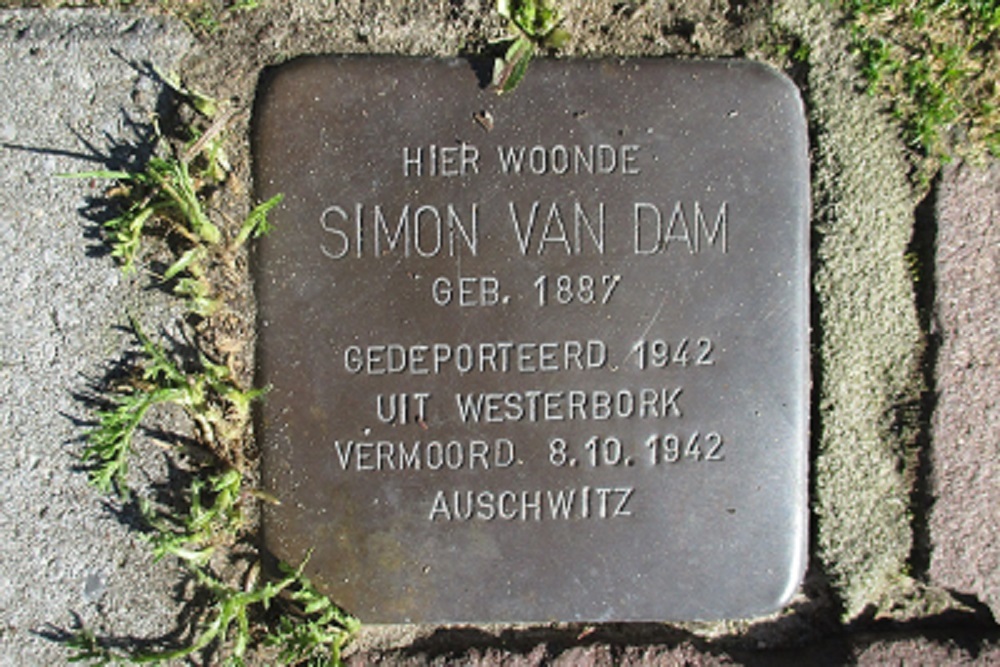 Stolpersteine Veenhoopsweg 49 #2