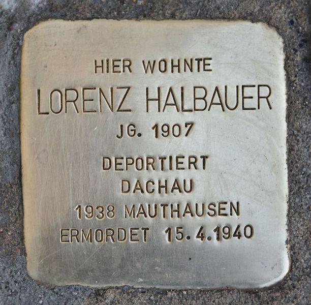 Stolpersteine Matthias Schönerer-Gasse 10 #2