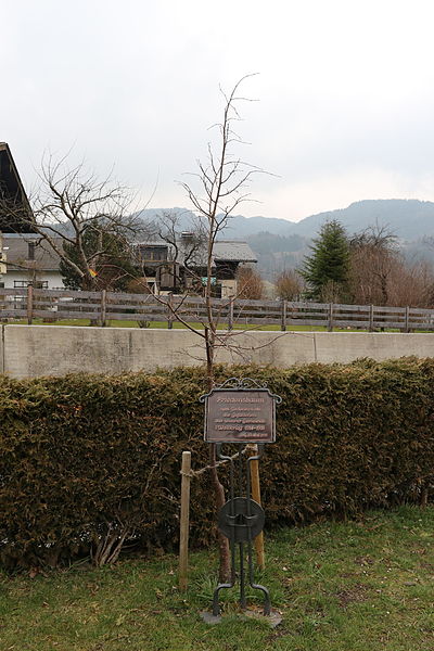 Vredesboom Mühlgraben