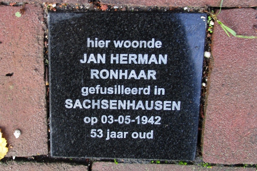 Memorial Stone Pieter Jelles Troelstralaan 7 #1