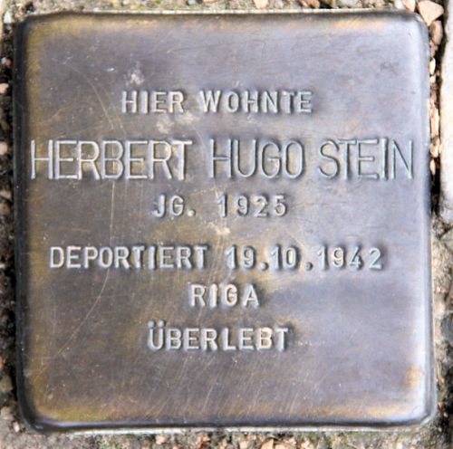 Stolpersteine Gossowstrae 1 #2