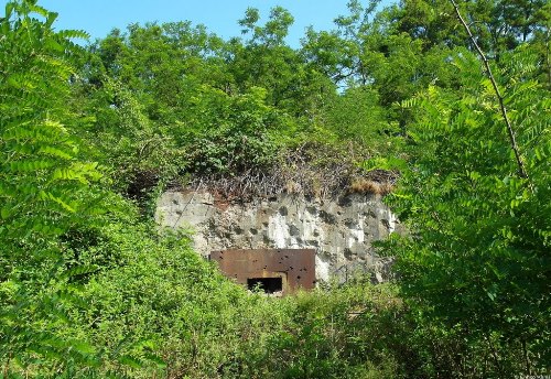 Westwall - Regelbau 10 Bunker Roden