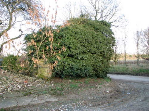 Pillbox FW3/22 Banham #1