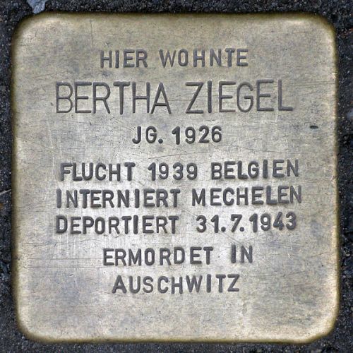 Stolpersteine Greifenhagener Straße 13 #4