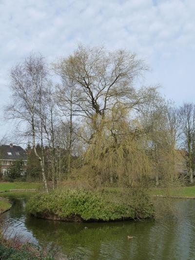 Vrijheidsboom Zeist #2