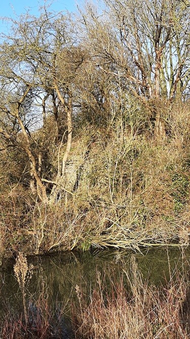 Brugrestanten Spoorbrug in traject Zevenaar - Griethausen #3