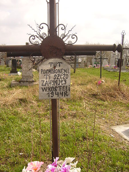 Polish Mass Grave Pidkamin #1