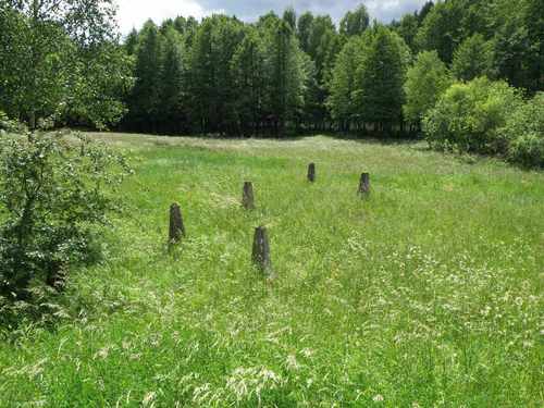 Pommernstellung - Tank Barrier Zdbice