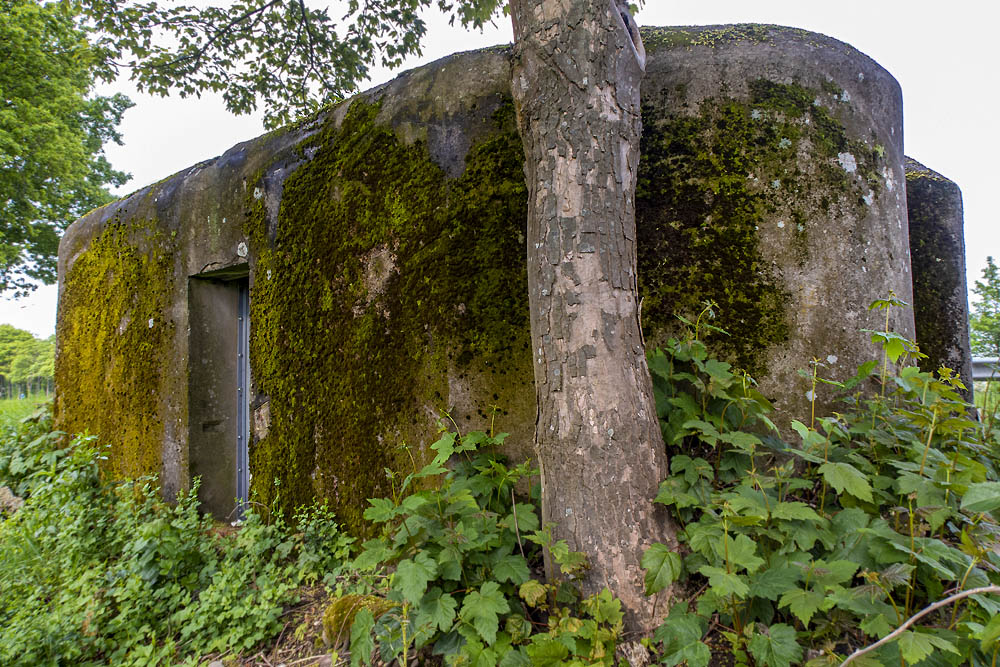 Bunker 51 Grensstelling Zuid-Willemsvaart #3