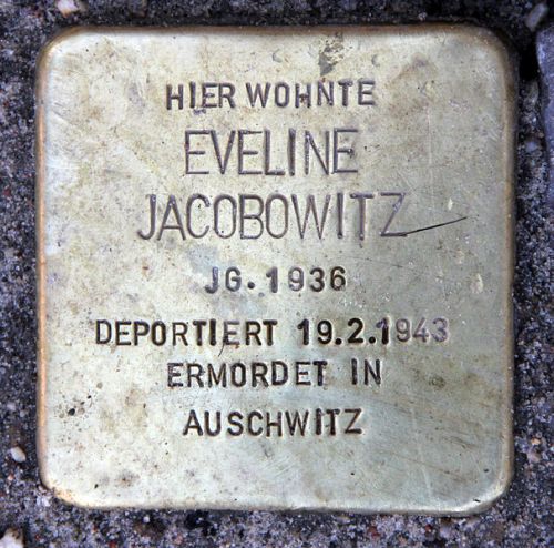 Stumbling Stones Anzengruberstraße 10