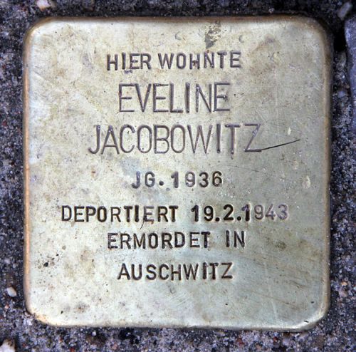 Stolpersteine Anzengruberstrae 10