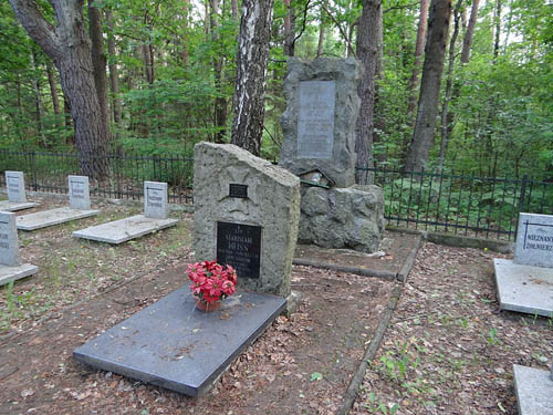 Poolse Oorlogsbegraafplaats Banachy #2