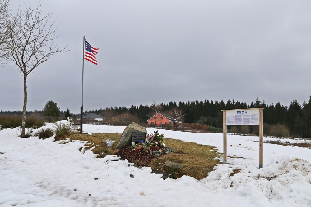 Monument 394th Infantry Regiment (99th Infantry Division) #3