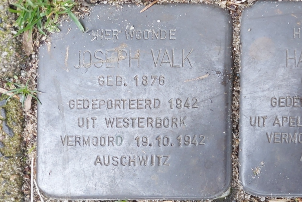 Stumbling Stones Burgemeester Meineszlaan 87b #2