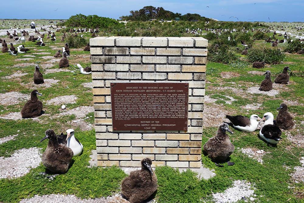 Monument U.S. Marines Sixth Defense Battalion #1