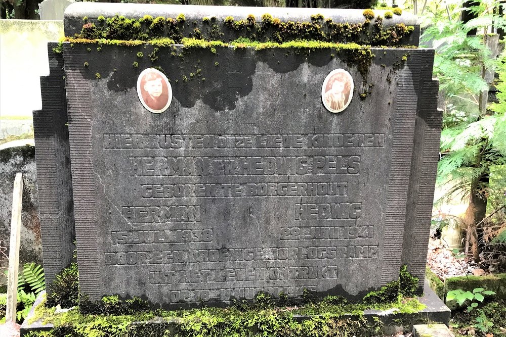 Belgische Oorlogsgraven Kalmthout-Heide #4