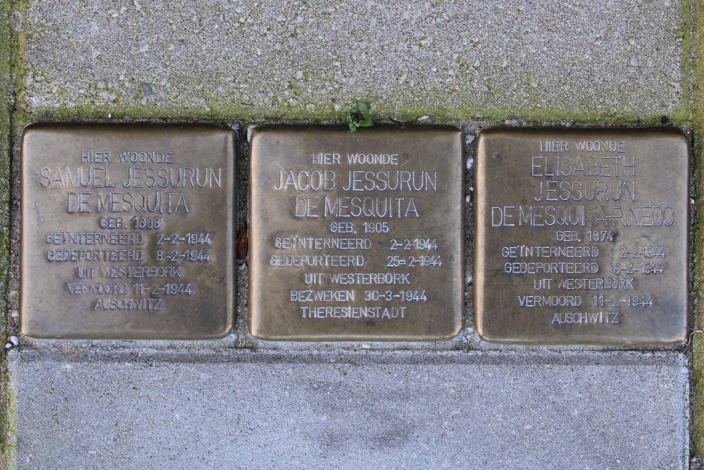 Stolpersteine Linnaeuskade 24