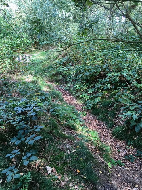 Gereconstrueerde Loopgraven Kamp Amersfoort #3