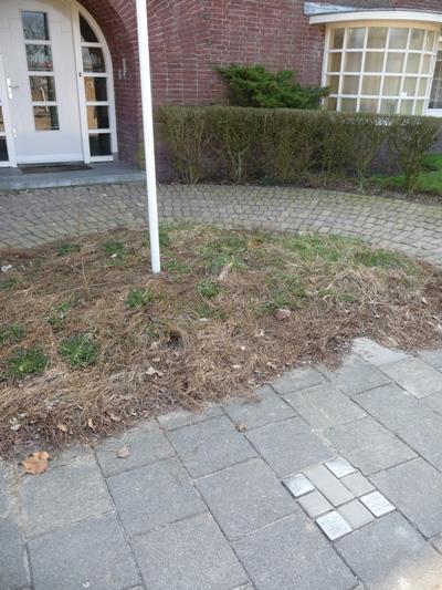 Stumbling Stones Jonckbloetlaan 13 #4