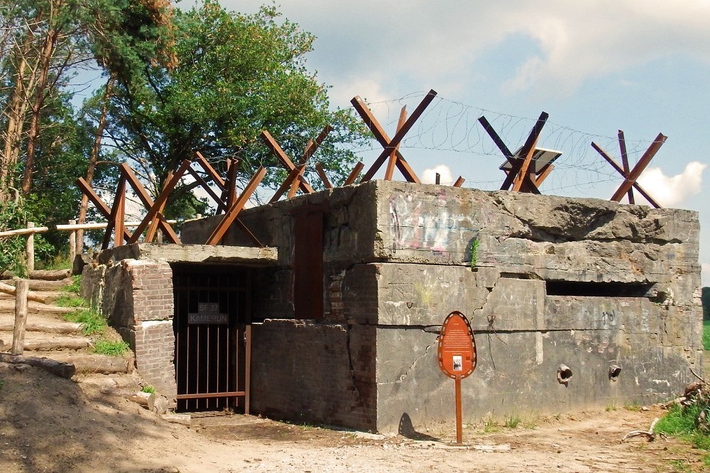 Duitse Bunker en Schijnvliegveld 'De KIek' Riel #5
