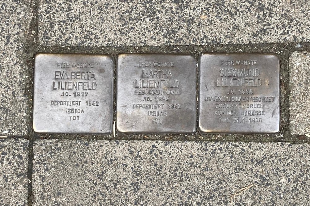 Stolpersteine Steinstrae 8 #2