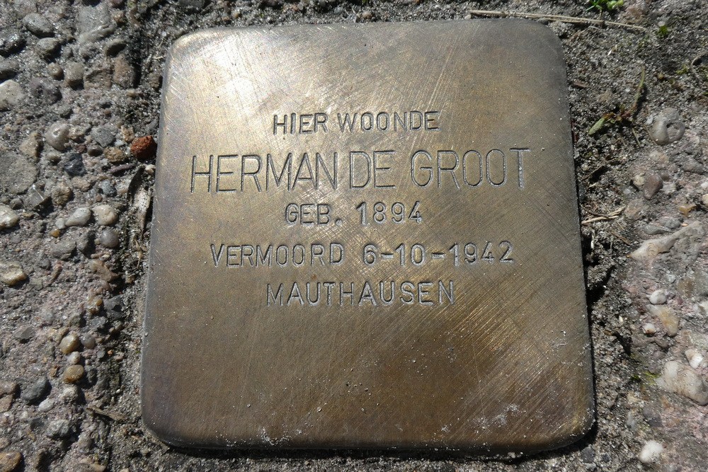 Stolperstein Eesveenseweg 165 #3