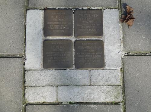 Stolpersteine Dr Hermanslaan 1 #1