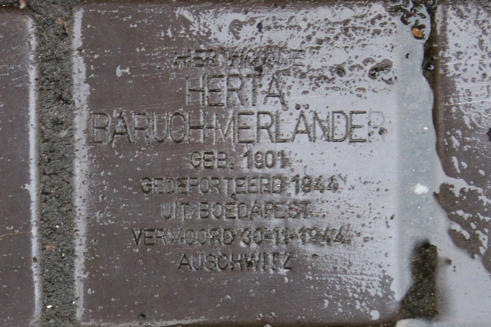 Stolpersteine Apollolaan 187 #3