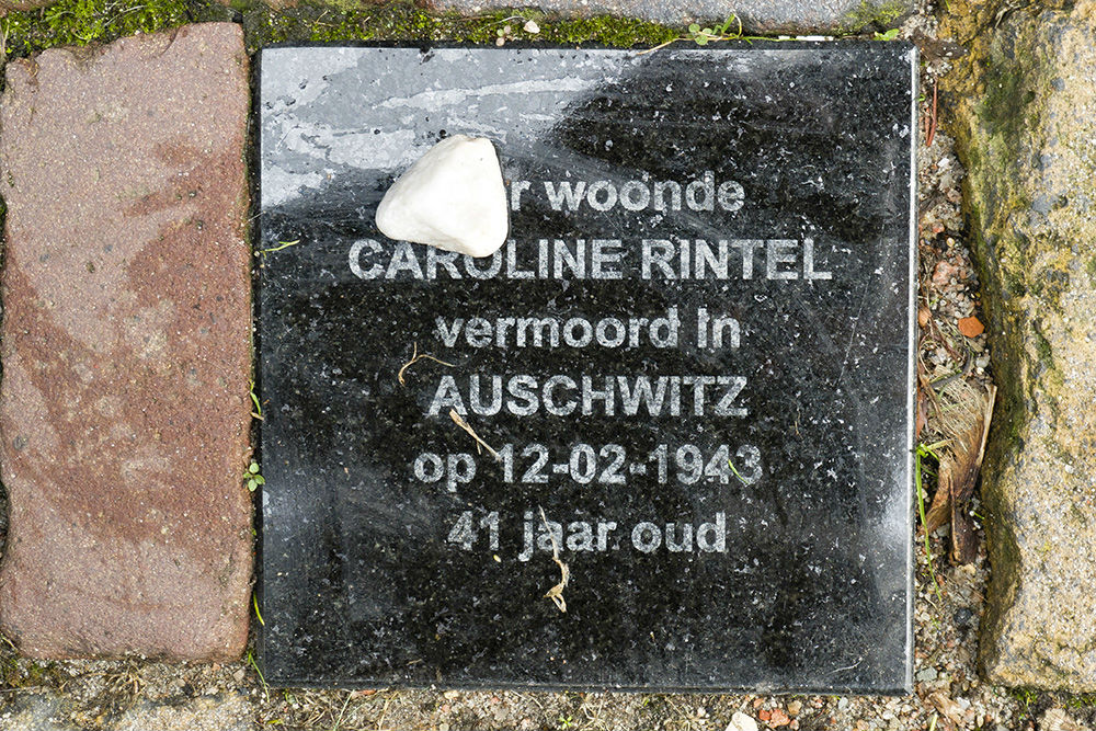 Memorial Stones Drieringensteeg 6 #3