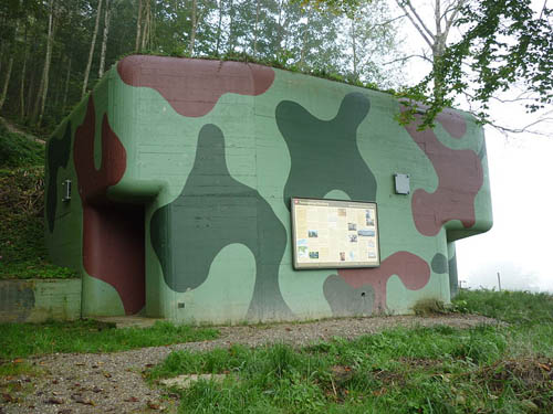 Artillery Fortress Ebersberg (A5438) #1